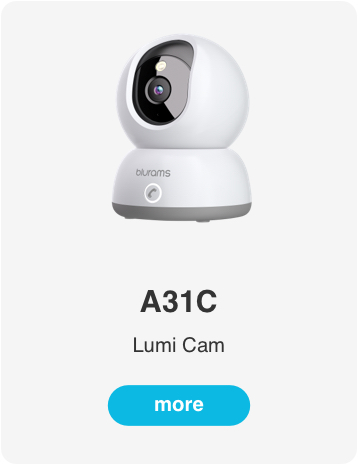 NurseryView Baby Cam