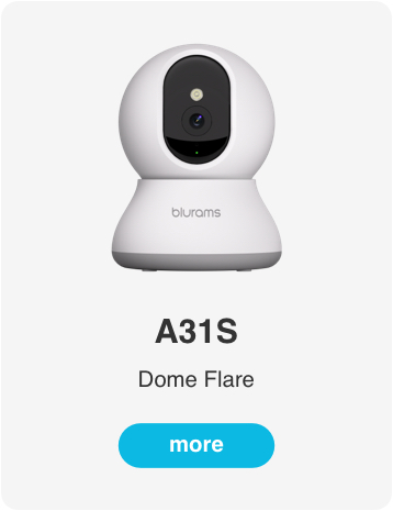 DoorView Battery Bell