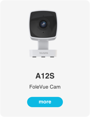 SolarLite Floodlight Cam